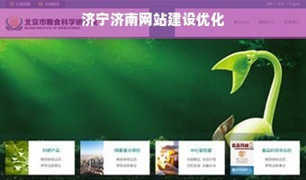 济宁济南网站建设优化
