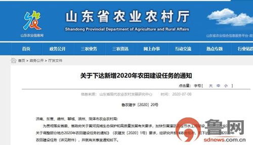 山东下达新增高标准农田建设任务15万亩