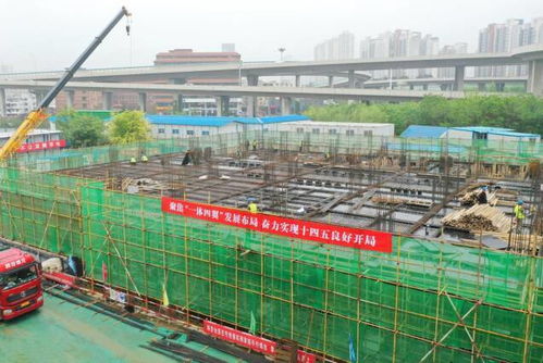 国网山东电力 电网建设黄金期 安全生产放首位