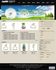 济南网站建设与网页设计 山东数字营销的基石